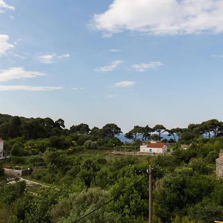 Restful In Dalmatia With Garden Villa Donje Celo