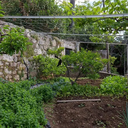 Restful In Dalmatia With Garden Donje Celo