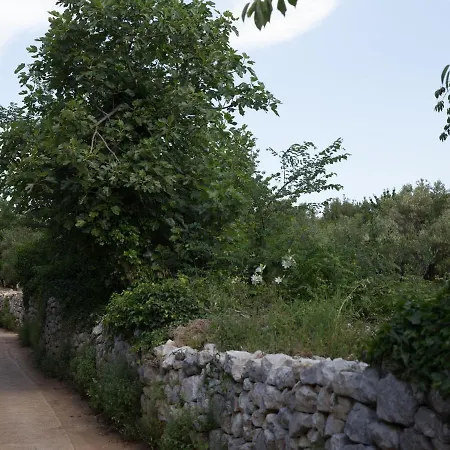 Restful In Dalmatia With Garden Villa